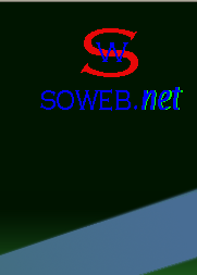 soweb.net, Your E-commerce Partner